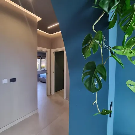 דירה Tropicalia